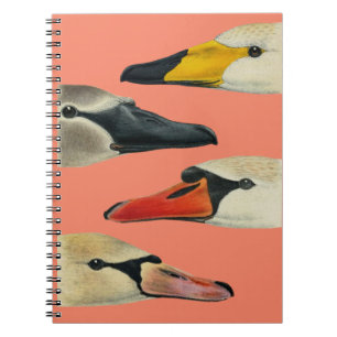 Cuaderno La naturaleza de los muchos rostros de un cisne