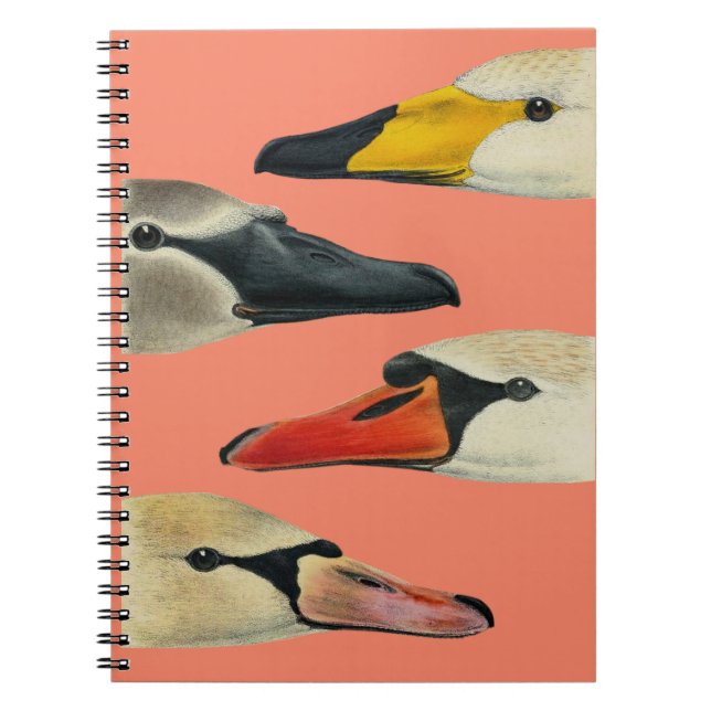 Cuaderno La naturaleza de los muchos rostros de un cisne (Frente)