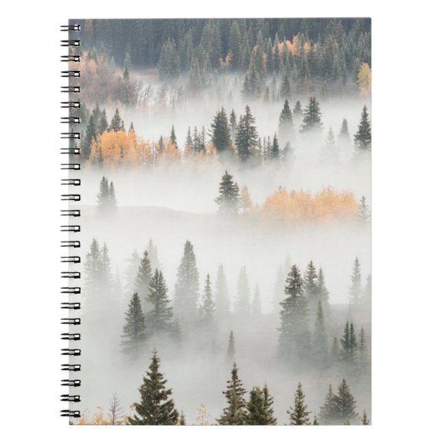 Cuaderno La niebla subterránea del amanecer cubre el bosque (Frente)