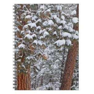 Cuaderno La nieve llena las ramas de los pinos ponderosa