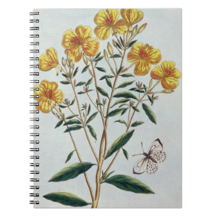 Cuaderno La onagra, platea 73 de la 'colección Precie