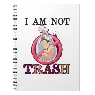 Cuaderno La opción anti aborto a favor de la vida detiene v