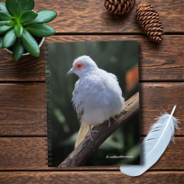 Cuaderno La paloma de los diamantes en el centro de atenció (Diamond Dove in the Spotlight Journal Cover Photo)