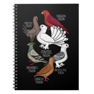 Cuaderno La pichón engendra al rey palomón que ama a los pa