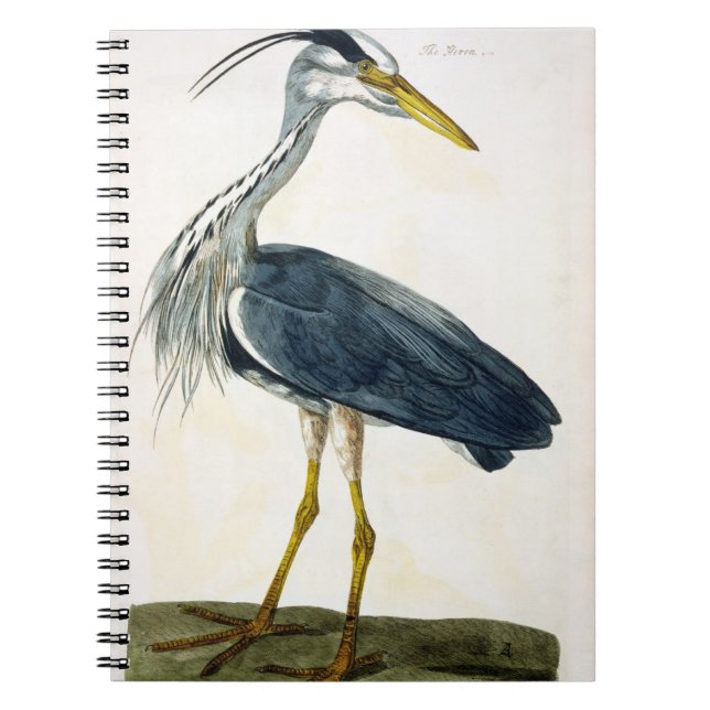 Cuaderno La placa de la garza (Ardea cinerea) 'de los (Frente)