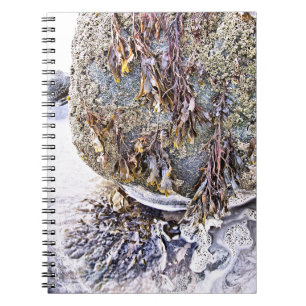 CUADERNO LA PLAYA