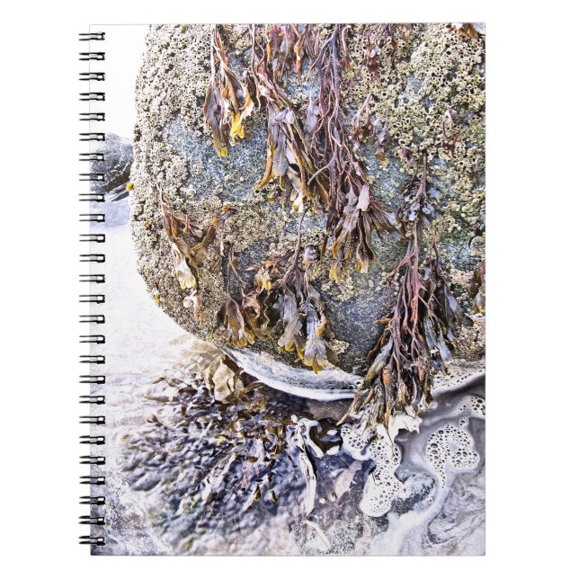CUADERNO LA PLAYA (Frente)