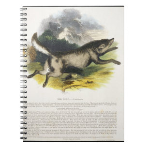 Cuaderno La PU educativa del ilustracion del lobo (lupus de