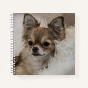 Cuaderno La relajación de Chihuahua