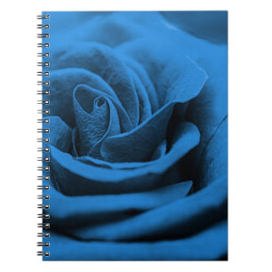 Cuaderno La rosa roja azul, macrobelleza.