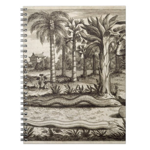 Cuaderno La serpiente de piedra, de "China ilustró" por