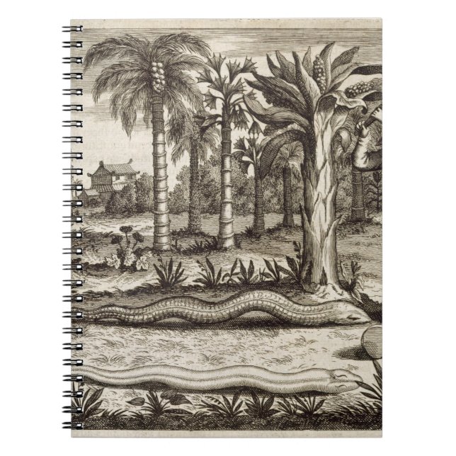 Cuaderno La serpiente de piedra, de "China ilustró" por (Frente)