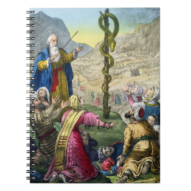 Cuaderno La serpiente descarada, de una biblia impresa por (Frente)