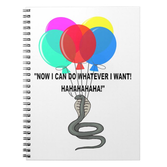 Cuaderno La serpiente voladora (Frente)