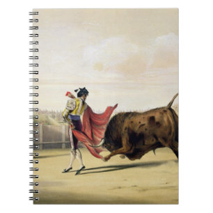Cuaderno La Suerte de la Capa, 1865 (litho del color)