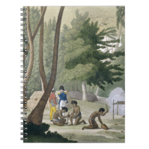 Cuaderno La tribu de Papu en la isla de Rawak, platea 20