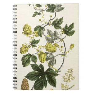 Cuaderno La vid de salto, "de la persona de tierra firme