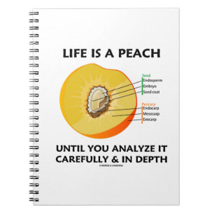 Cuaderno La Vida Es Un Peach Hasta Que Se Analice Cuidadosa