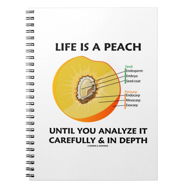 Cuaderno La Vida Es Un Peach Hasta Que Se Analice Cuidadosa (Frente)