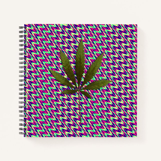 Cuaderno La vida nocturna..... (Anverso)