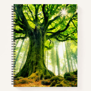 Cuaderno La voz de Ponthus