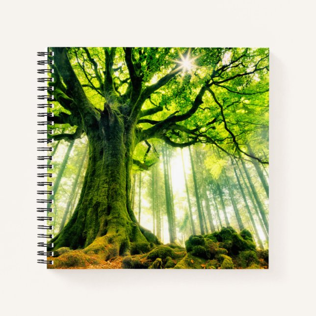 Cuaderno La voz de Ponthus (Anverso)