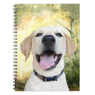 Cuaderno Laboratorio amarillo feliz