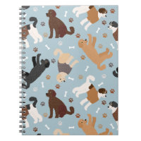Labradoodle / Goldendoodle Bones y Pastas