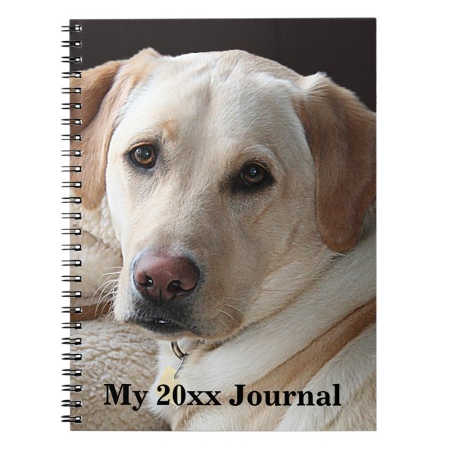 Cuaderno Labrador amarillo recuperador (Frente)