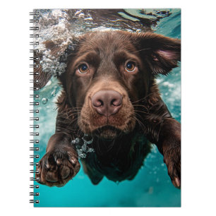 Cuaderno Labrador Chocolate Juguetón Nadando Bajo el Agua