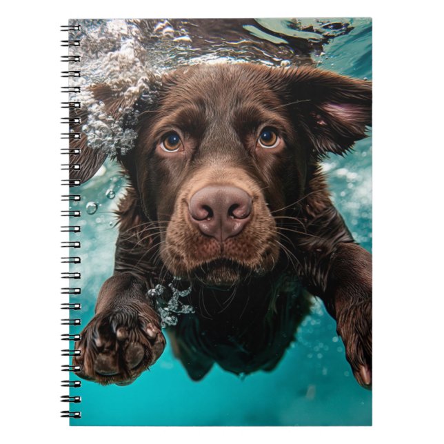 Cuaderno Labrador Chocolate Juguetón Nadando Bajo el Agua (Frente)