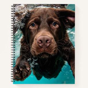 Cuaderno Labrador Chocolate Juguetón Nadando Bajo el Agua
