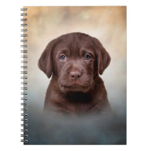 Cuaderno Labrador de cachorro dibujado