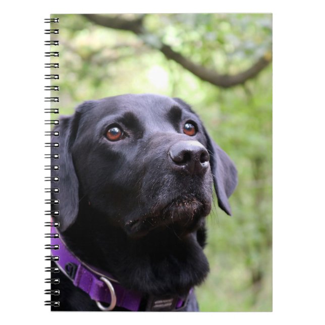 Cuaderno Labrador negro (Frente)