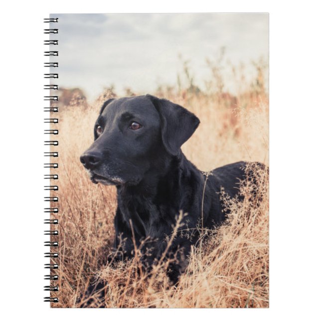 Cuaderno Labrador negro en hierba seca (Frente)