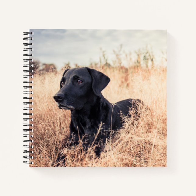 Cuaderno Labrador negro en hierba seca (Anverso)