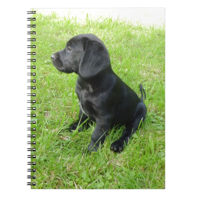 Cuaderno Labrador negro recuperador de hierba (Frente)