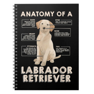 Cuaderno Labrador recupera anatomía divertida de un laberin
