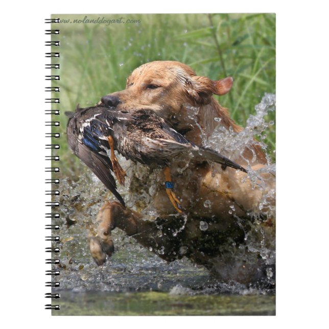 Cuaderno Labrador retriever amarillo con el pato (Frente)