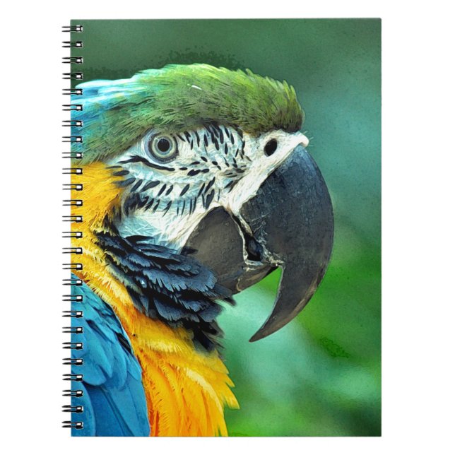 Cuaderno Lactancia colorida (Frente)