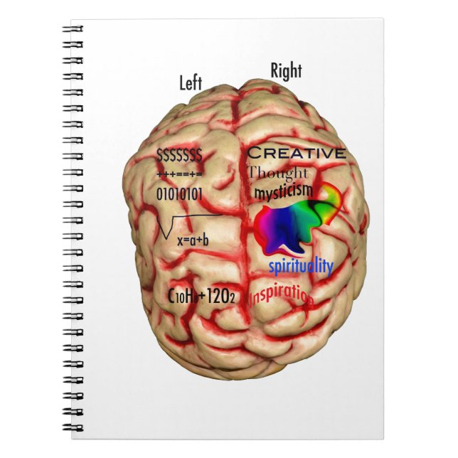 Cuaderno Lado izquierdo y derecho del cerebro (Frente)