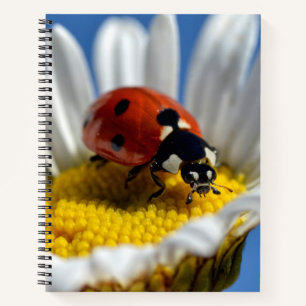 Cuaderno Lady bug en daisy Mug Jigsaw Puzzle Teddy Bear
