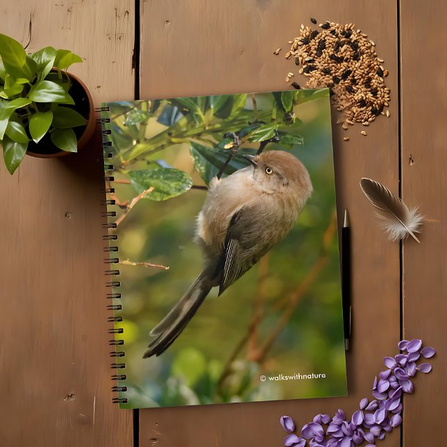 Cuaderno Lady Bushtit sobre el Lilac Bush de California (Lady Bushtit on the California Lilac Journal Cover Photo)