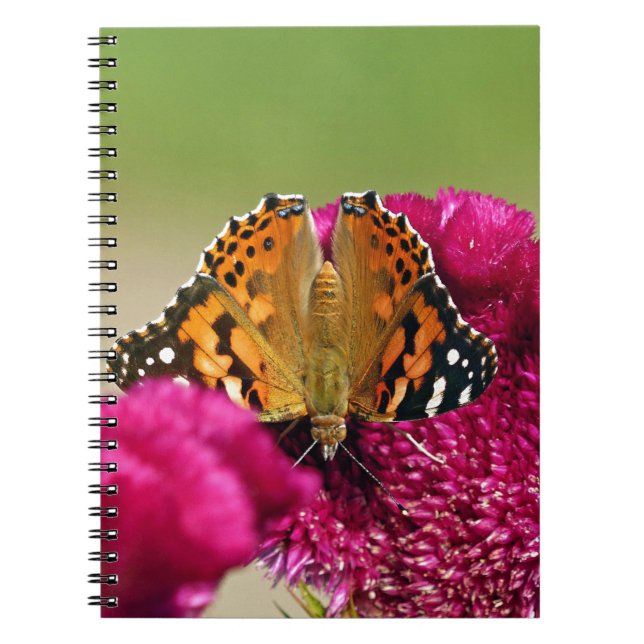 Cuaderno Lady Butterfly pintada (Frente)