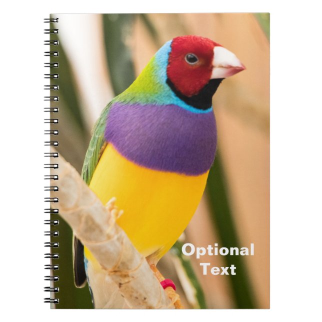 Cuaderno Lady Gouldian Finch (Frente)