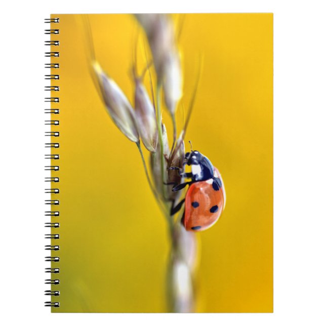 Cuaderno Ladybug en el rompecabezas del rompecabezas de pos (Frente)
