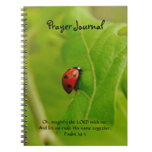 Cuaderno Ladybug en Green Leaves Faiyer Prayer Journal