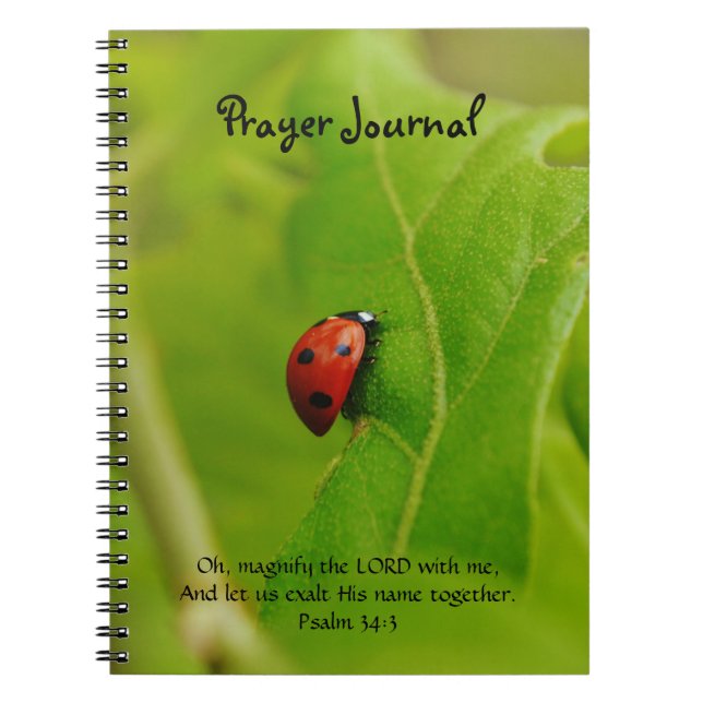 Cuaderno Ladybug en Green Leaves Faiyer Prayer Journal (Frente)