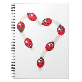 Cuaderno Ladybug Heart Notebook