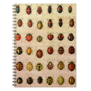 Cuaderno Ladybug Ladybird Beetle Insect Bug